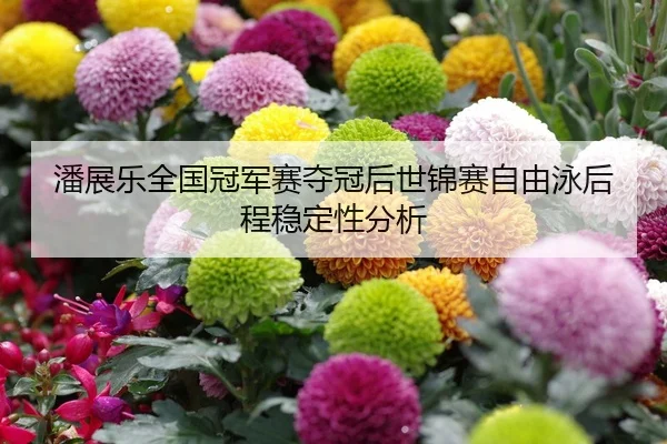 潘展乐全国冠军赛夺冠后世锦赛自由泳后程稳定性分析