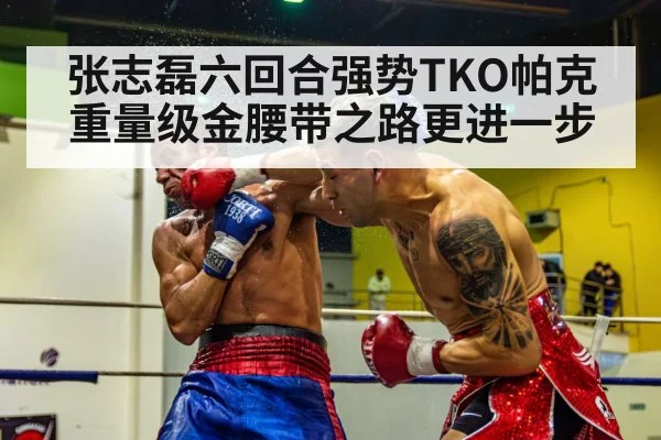 张志磊六回合强势TKO帕克 重量级金腰带之路更进一步